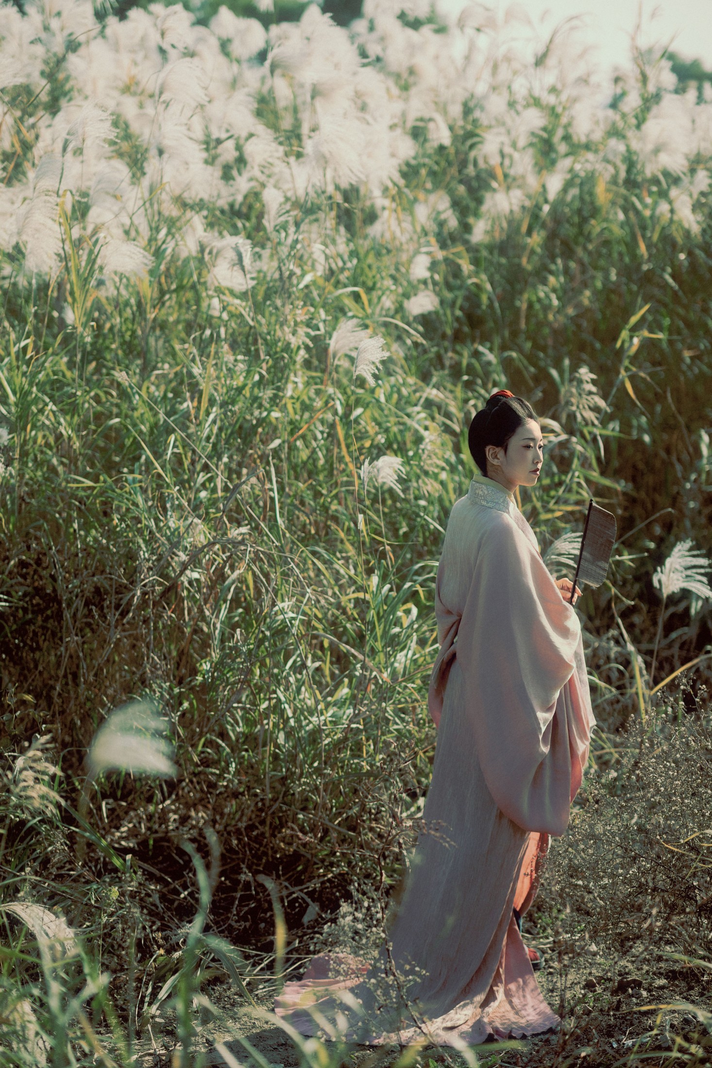 辞安 - 《蒹葭苍苍》[31P] 插图4