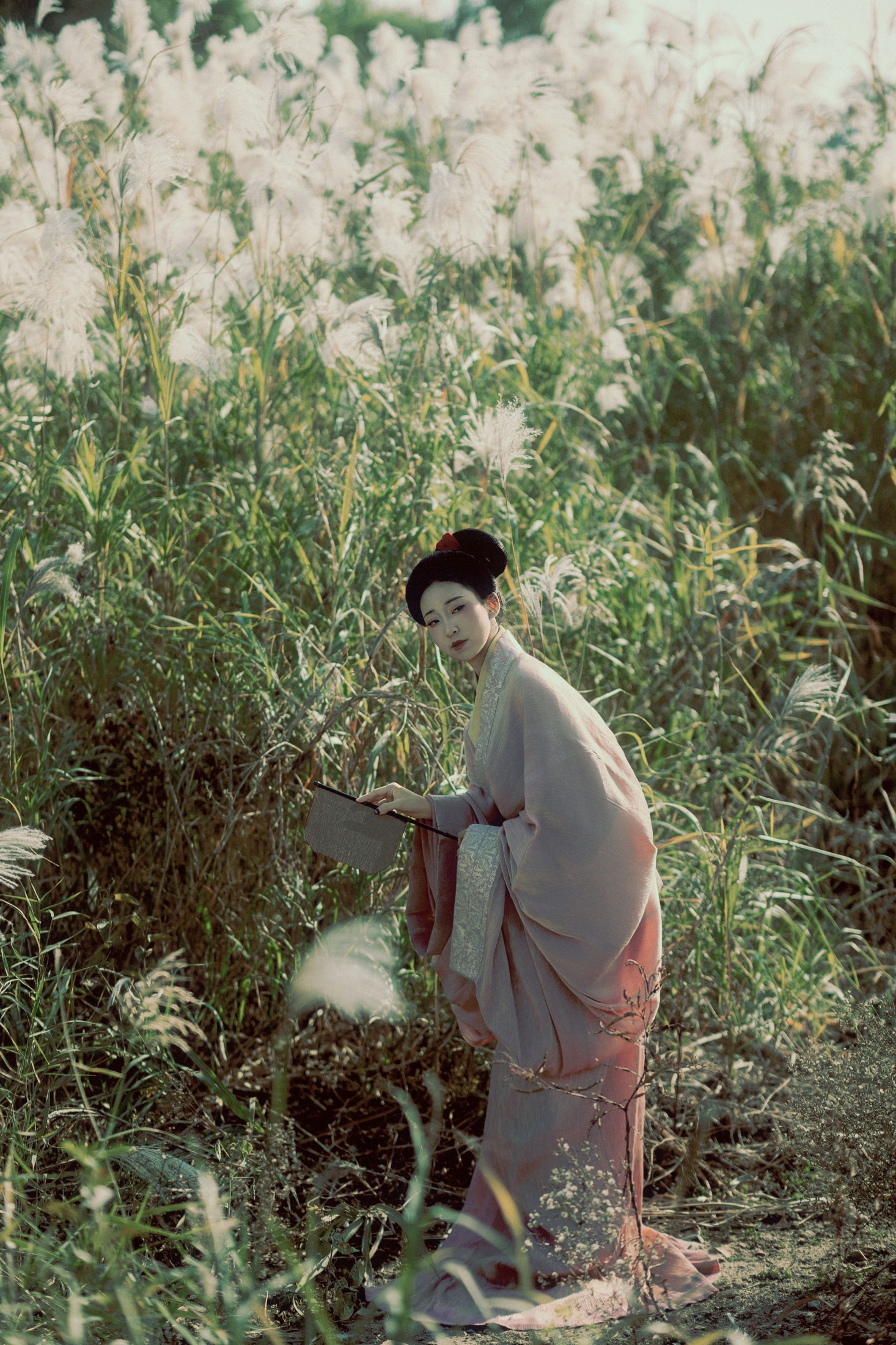 辞安 - 《蒹葭苍苍》[31P] 插图2