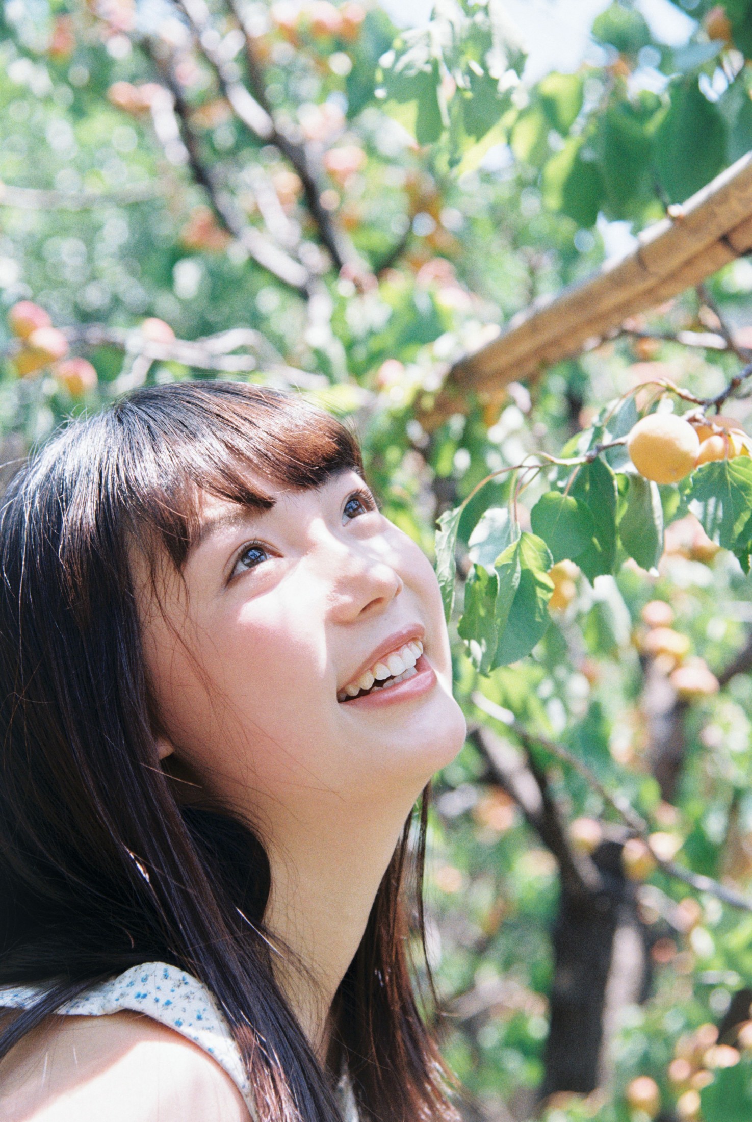 ID12744昨日乡村一日游-妍画集