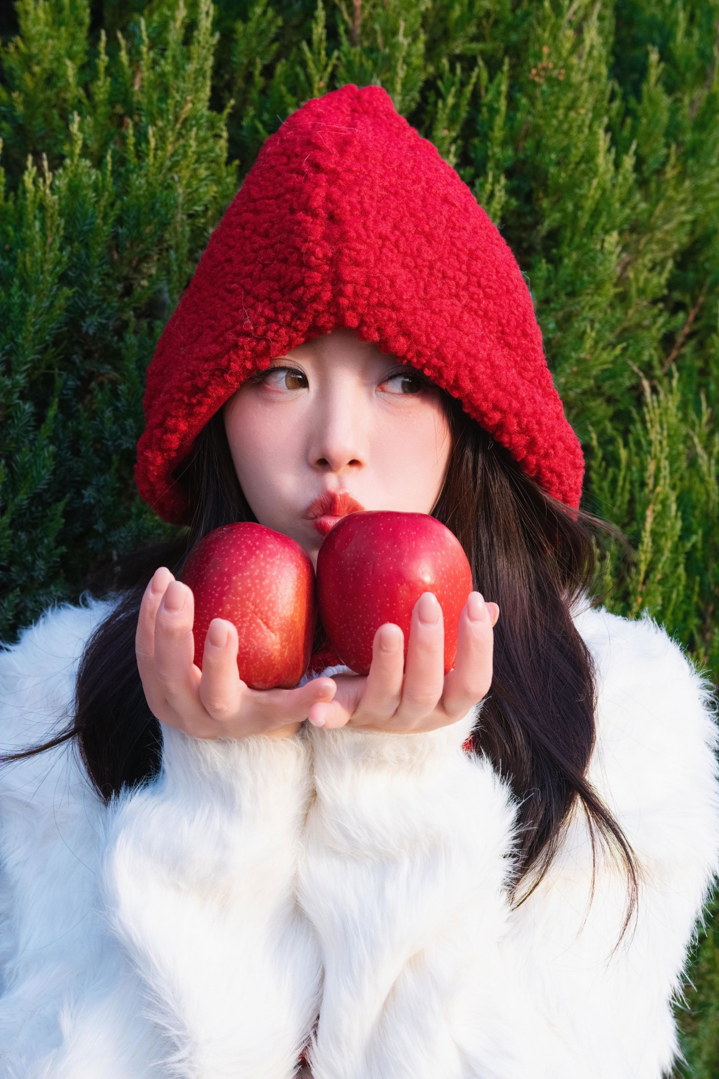 ID12828圣诞快乐 - 妍画集-妍画集