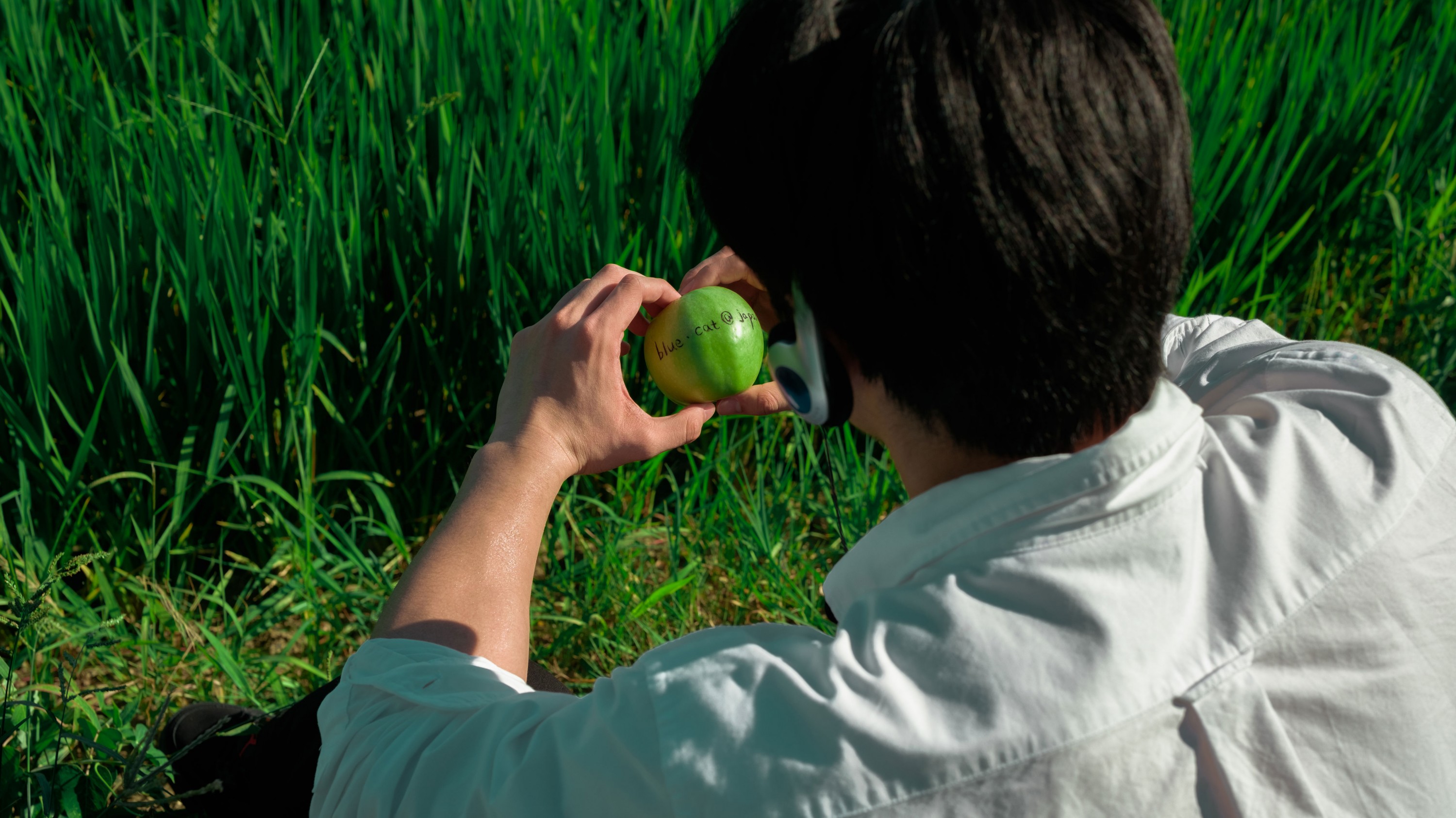 《水稻的田园写真》[20P] 插图2