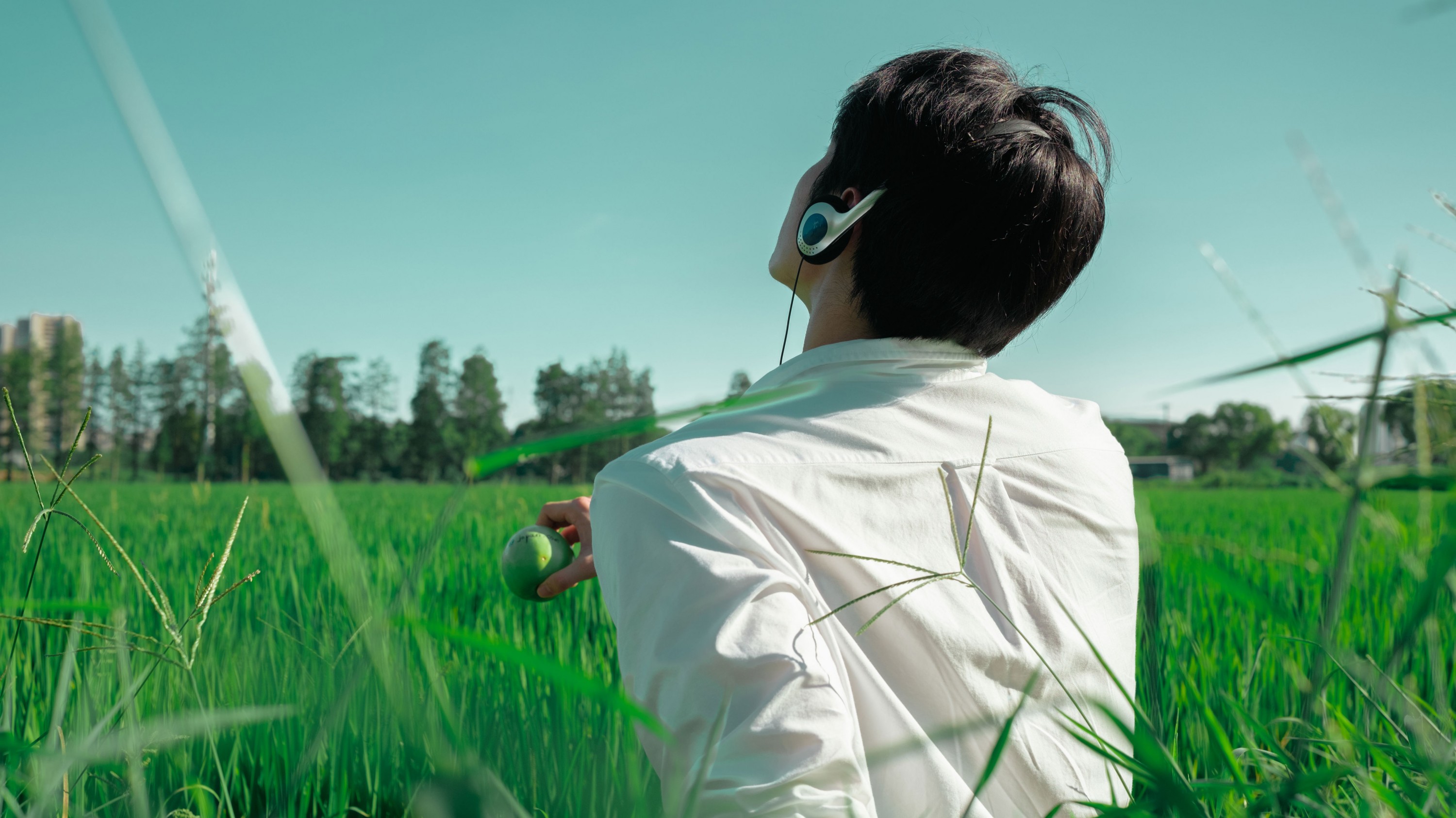 《水稻的田园写真》[20P] 插图5