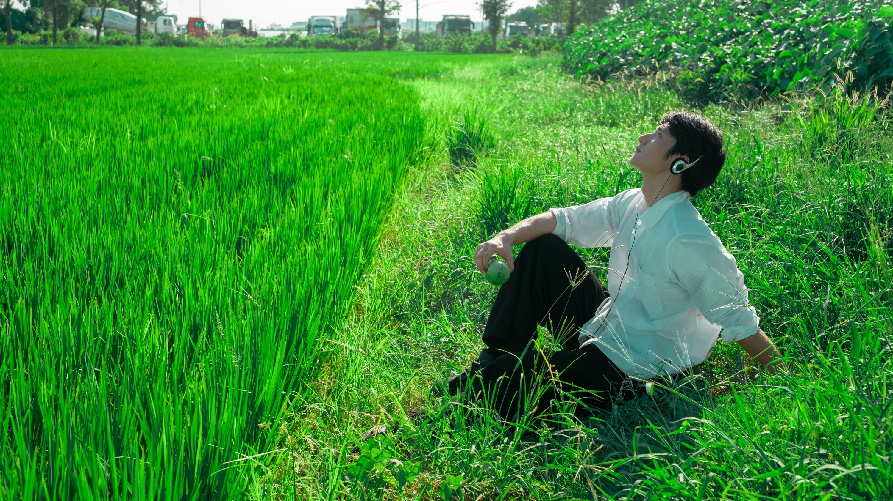 《水稻的田园写真》[20P] 插图3
