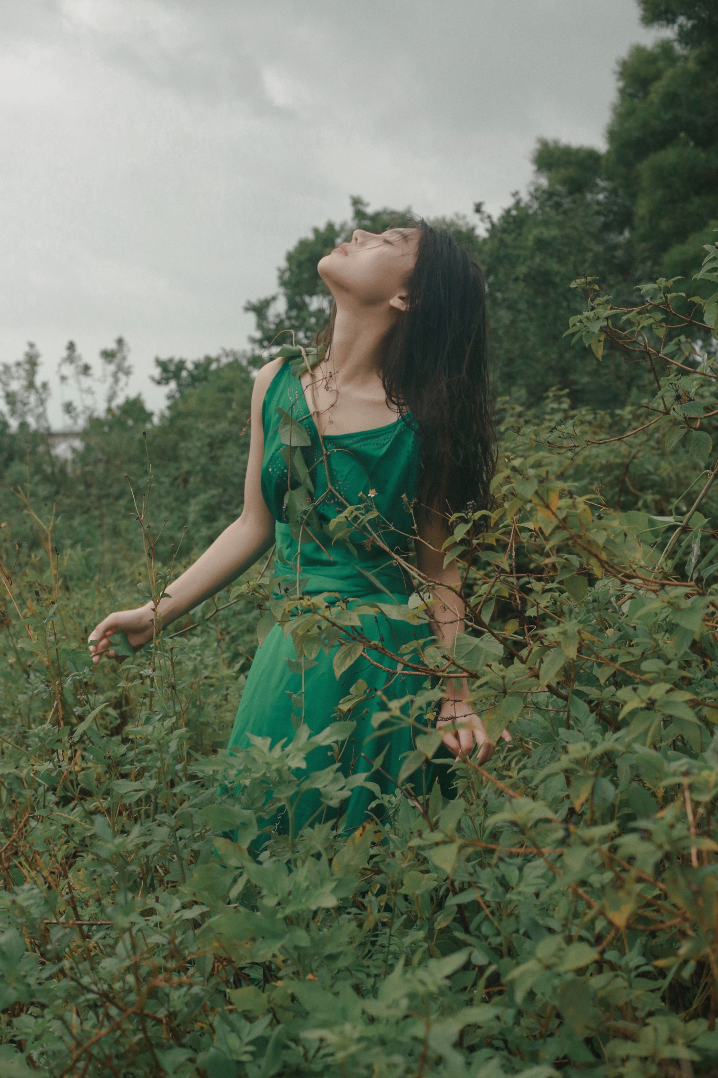 《烟雨》[13P] 插图3