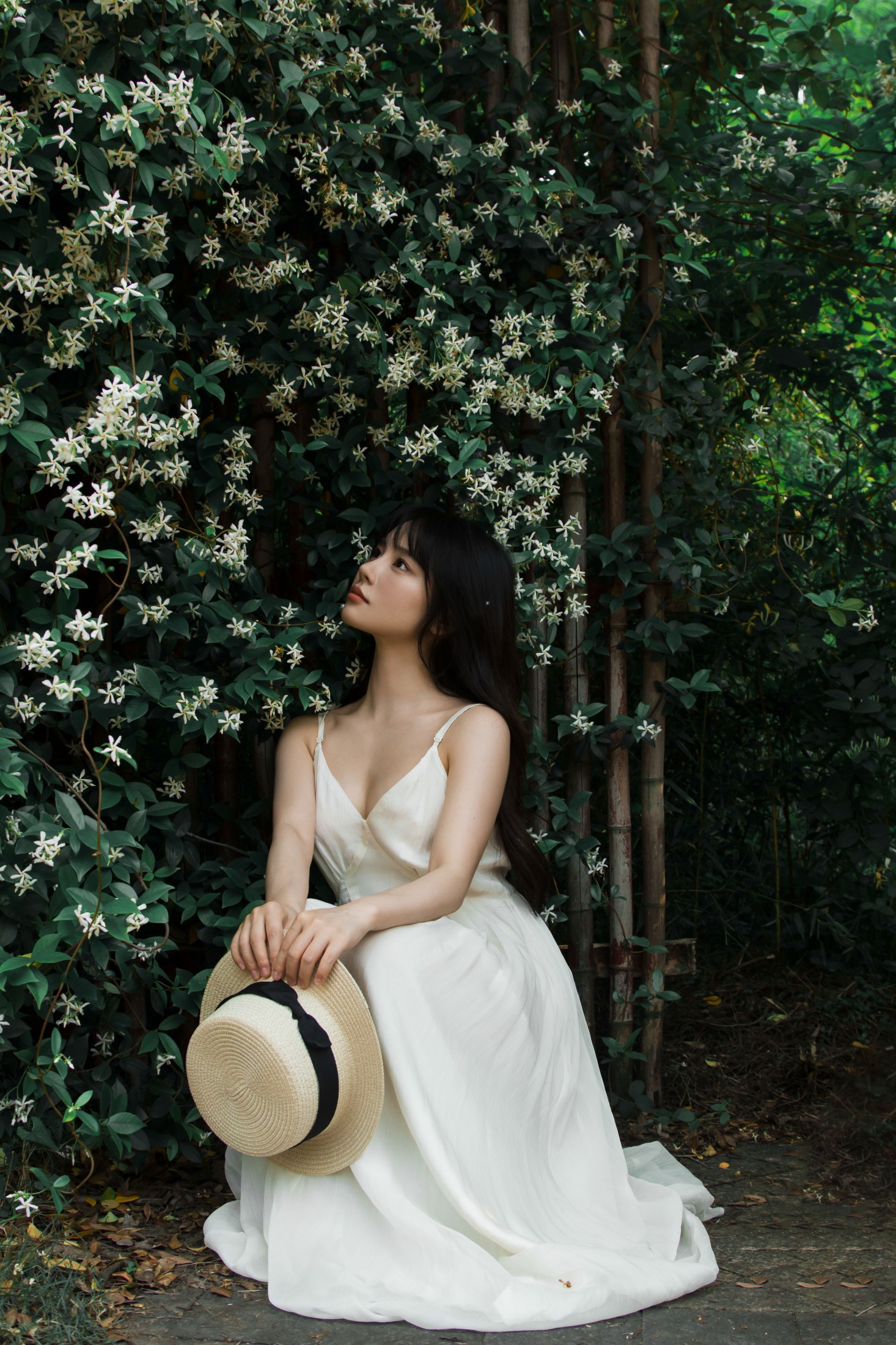 《待我苦涩的眼睛长出春天》[15P] 插图5