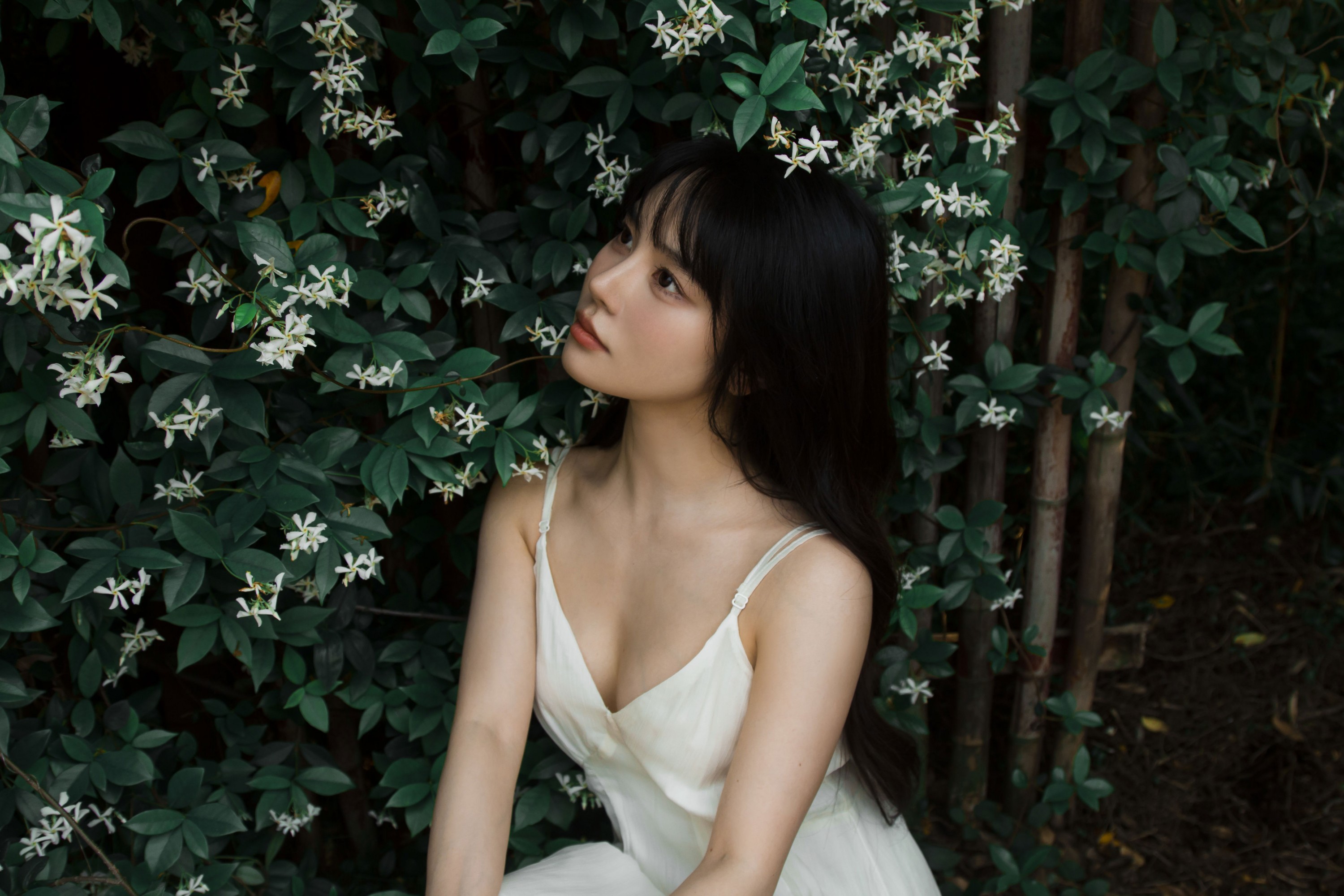 《待我苦涩的眼睛长出春天》[15P] 插图3