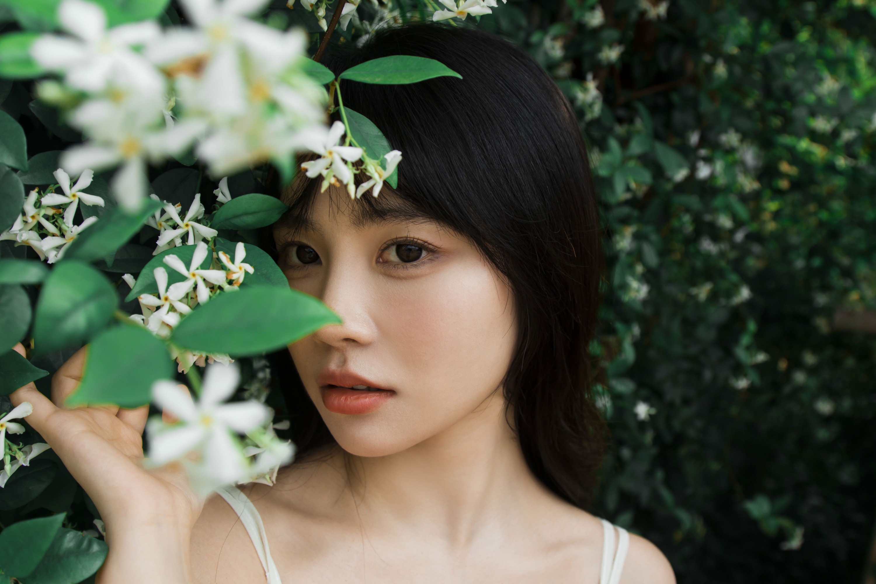 ID12859待我苦涩的眼睛长出春天-妍画集