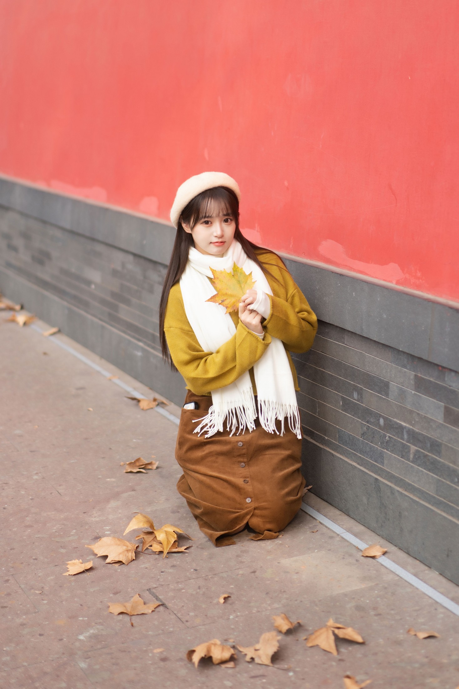 ID12873秋意漫红墙-妍画集