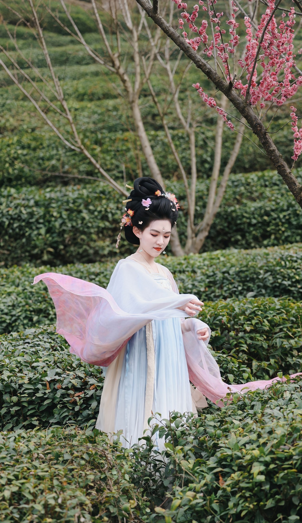 糖糖（竹山） - 《采茶仙子》[35P] 插图4