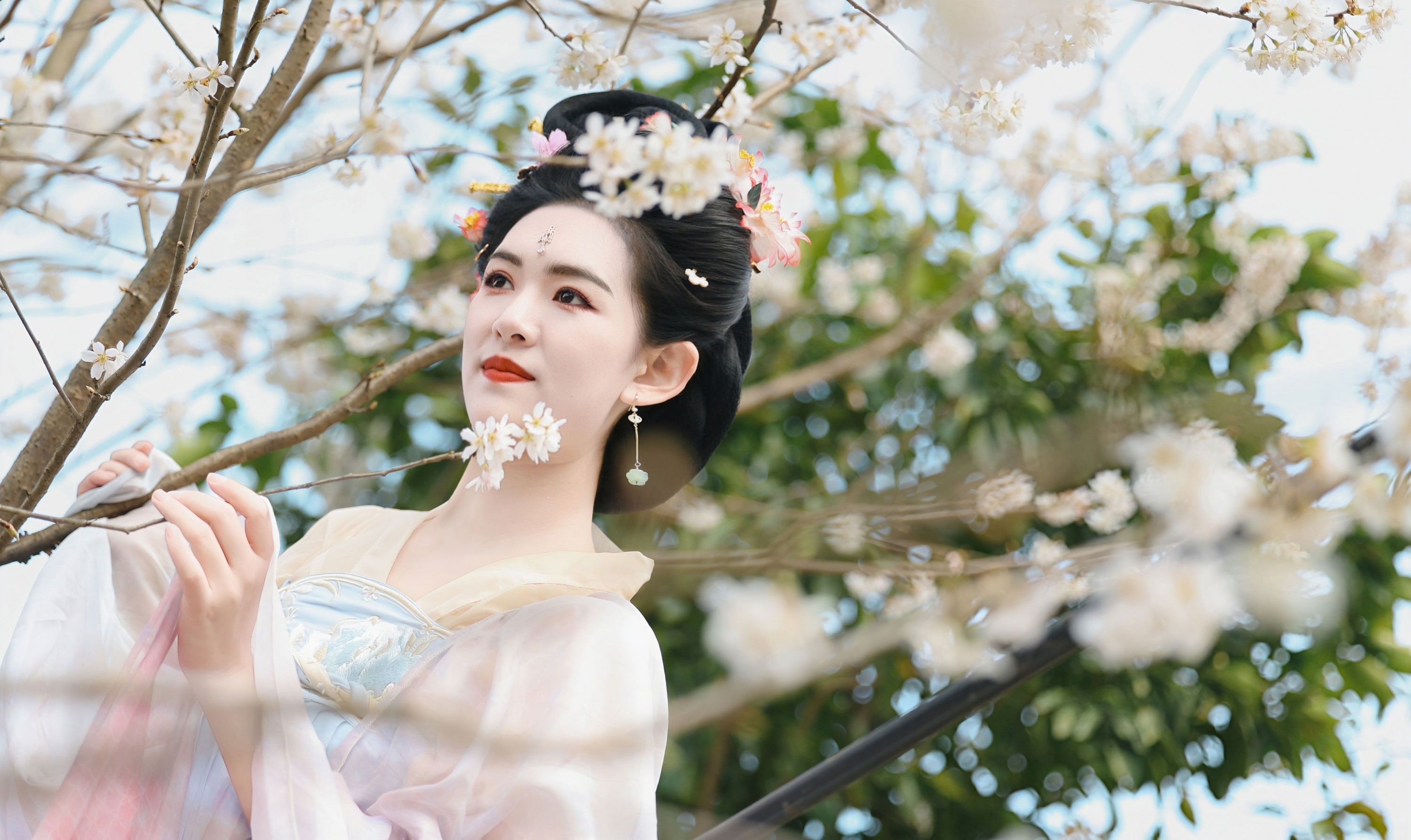 糖糖（竹山） - 《采茶仙子》[35P] 插图5