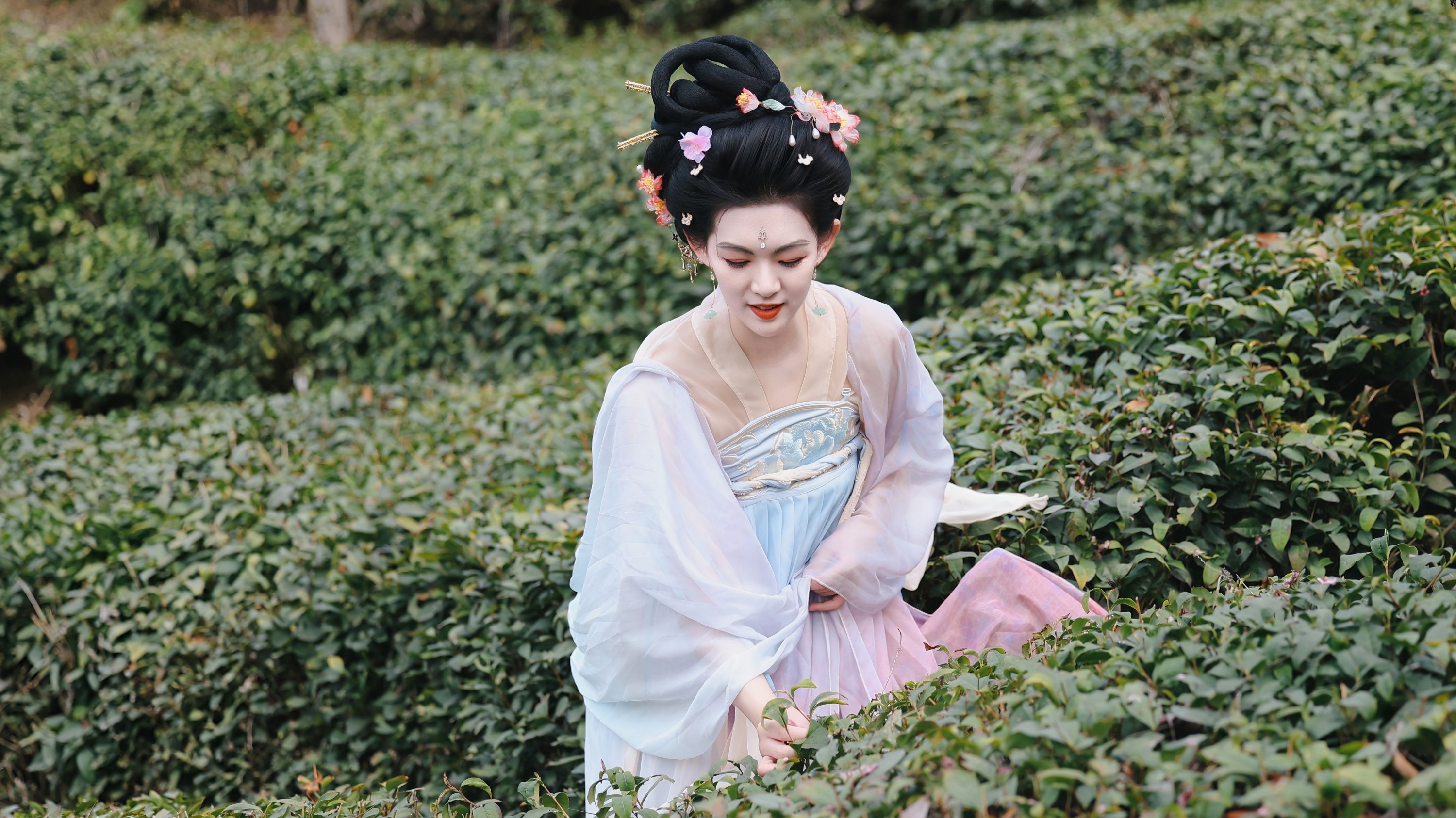 糖糖（竹山） - 《采茶仙子》[35P] 插图3