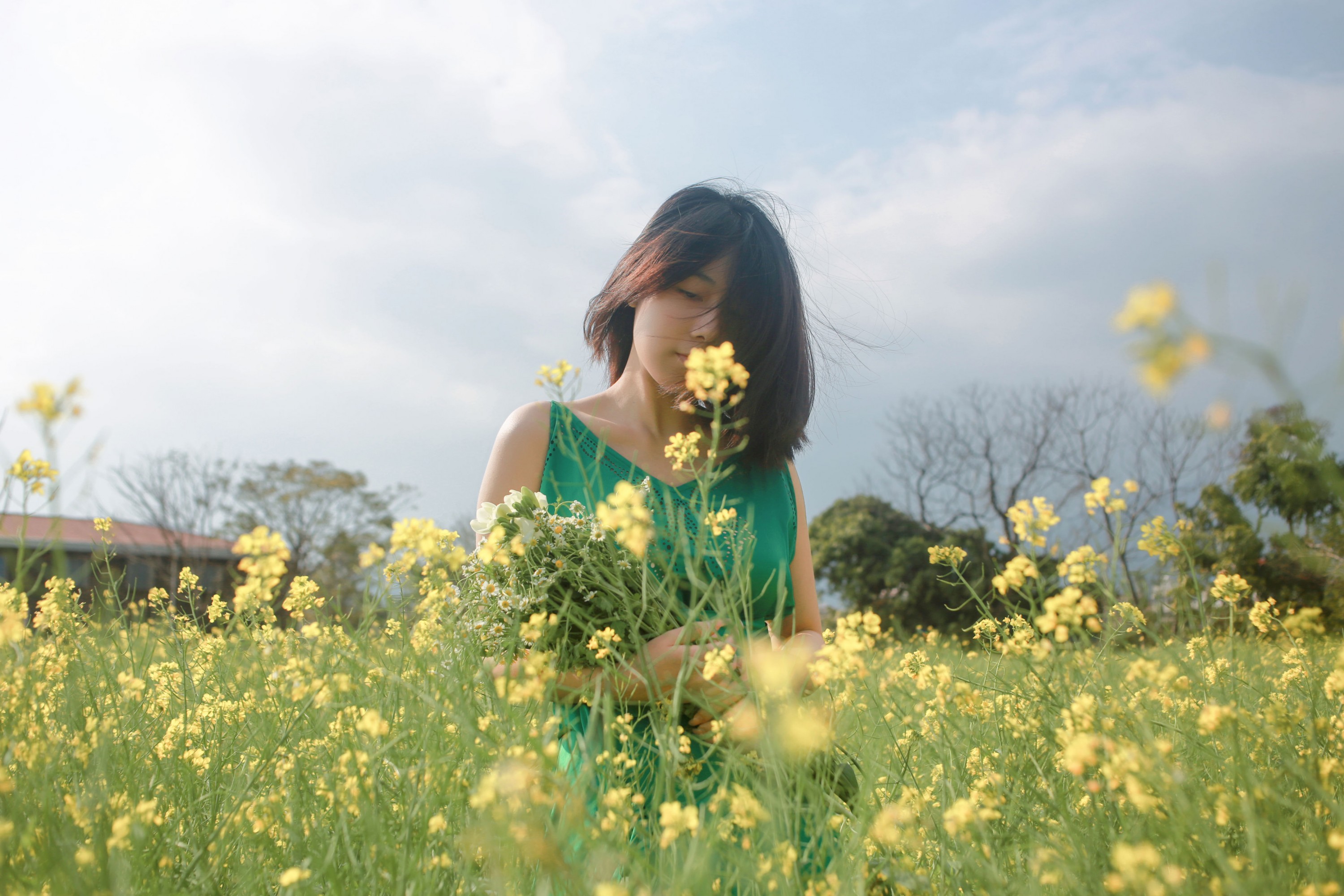 《油菜花》[36P] 插图2