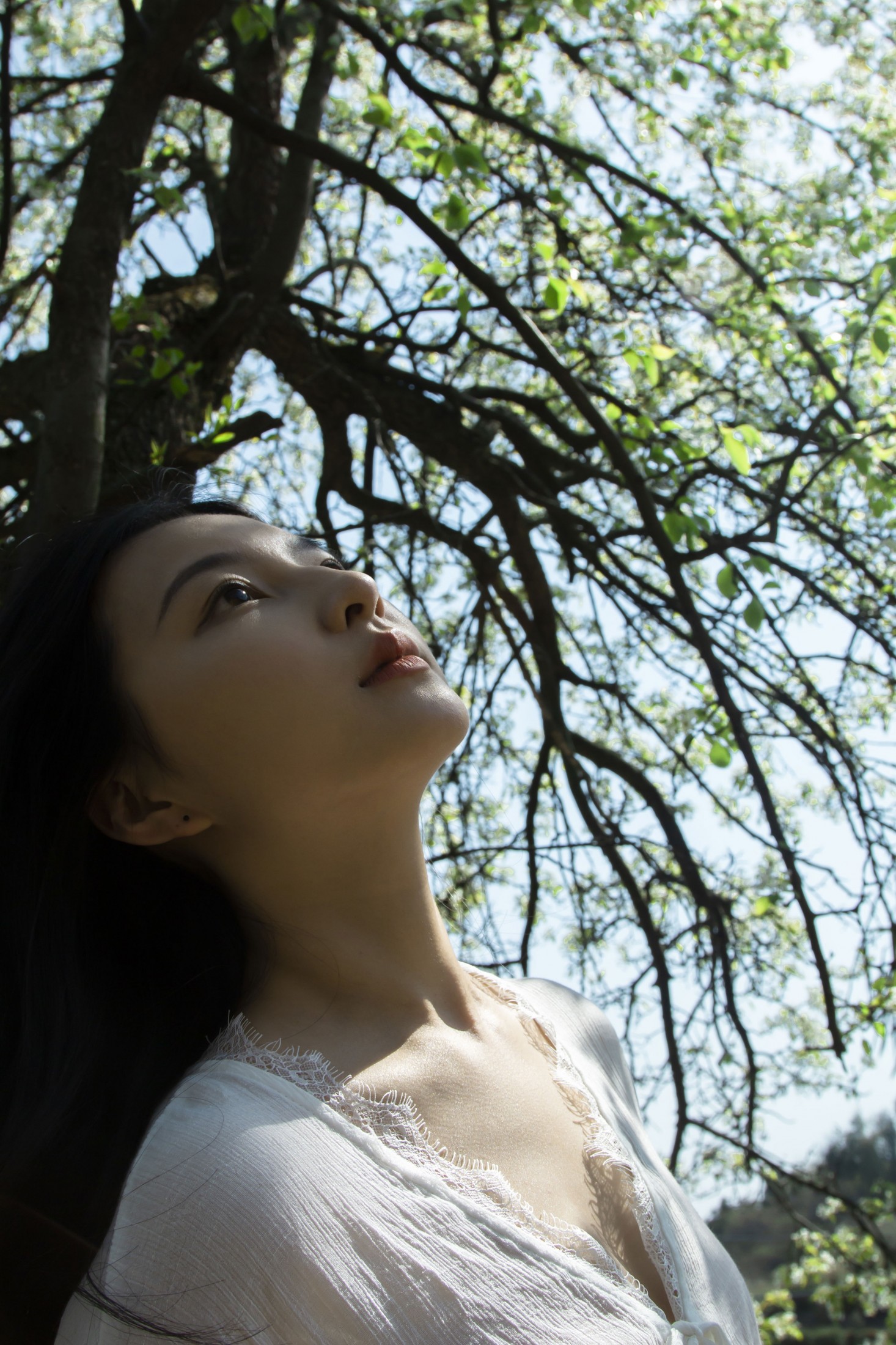 ID12864梨花树下 - 妍画集-妍画集