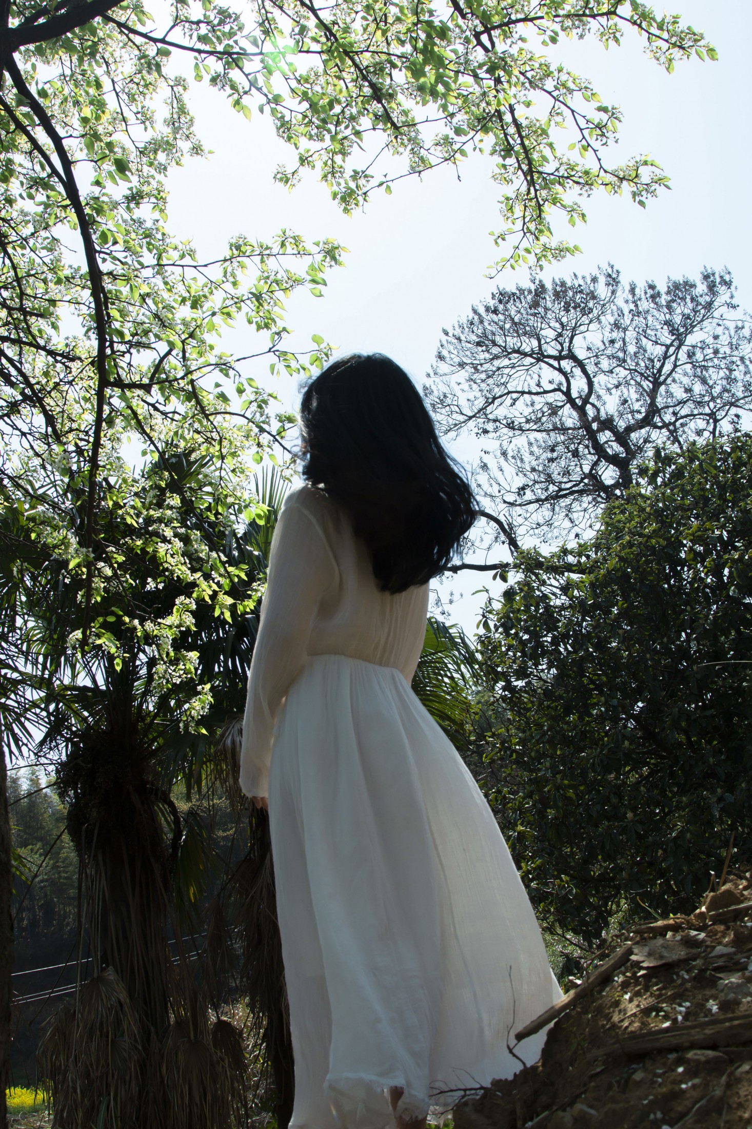 《梨花树下》[40P] 插图2