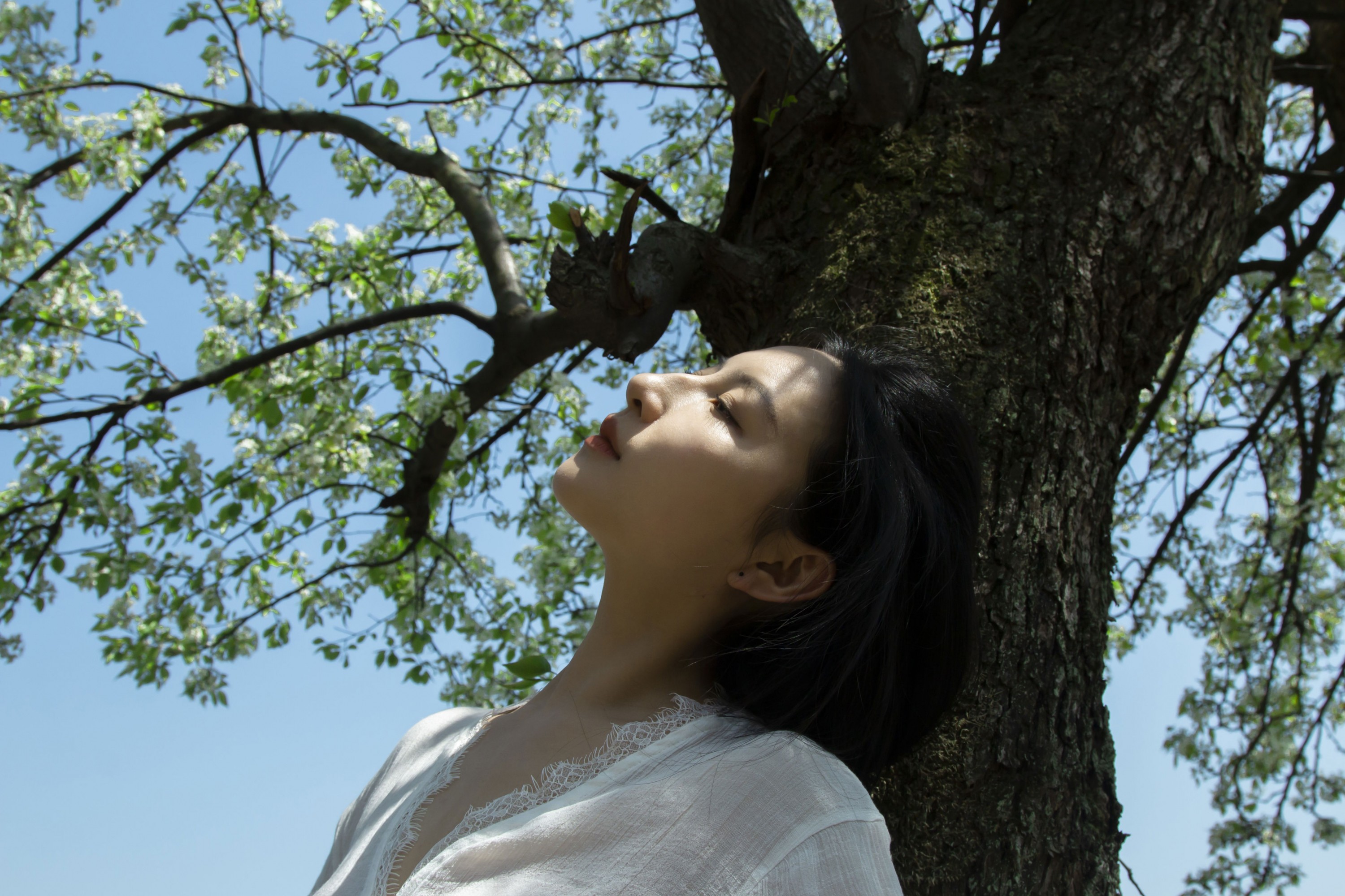 《梨花树下》[40P] 插图5