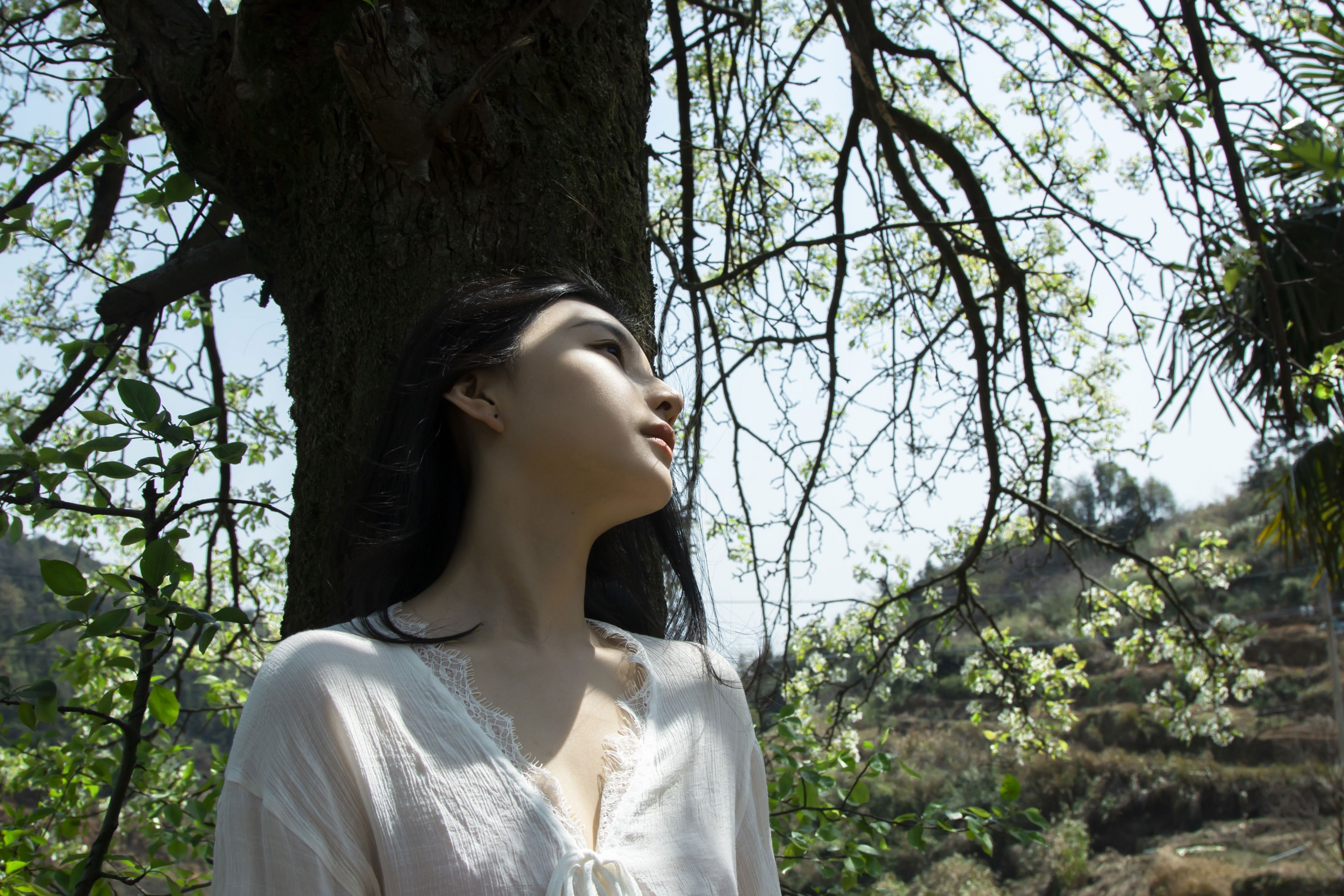 《梨花树下》[40P] 插图3