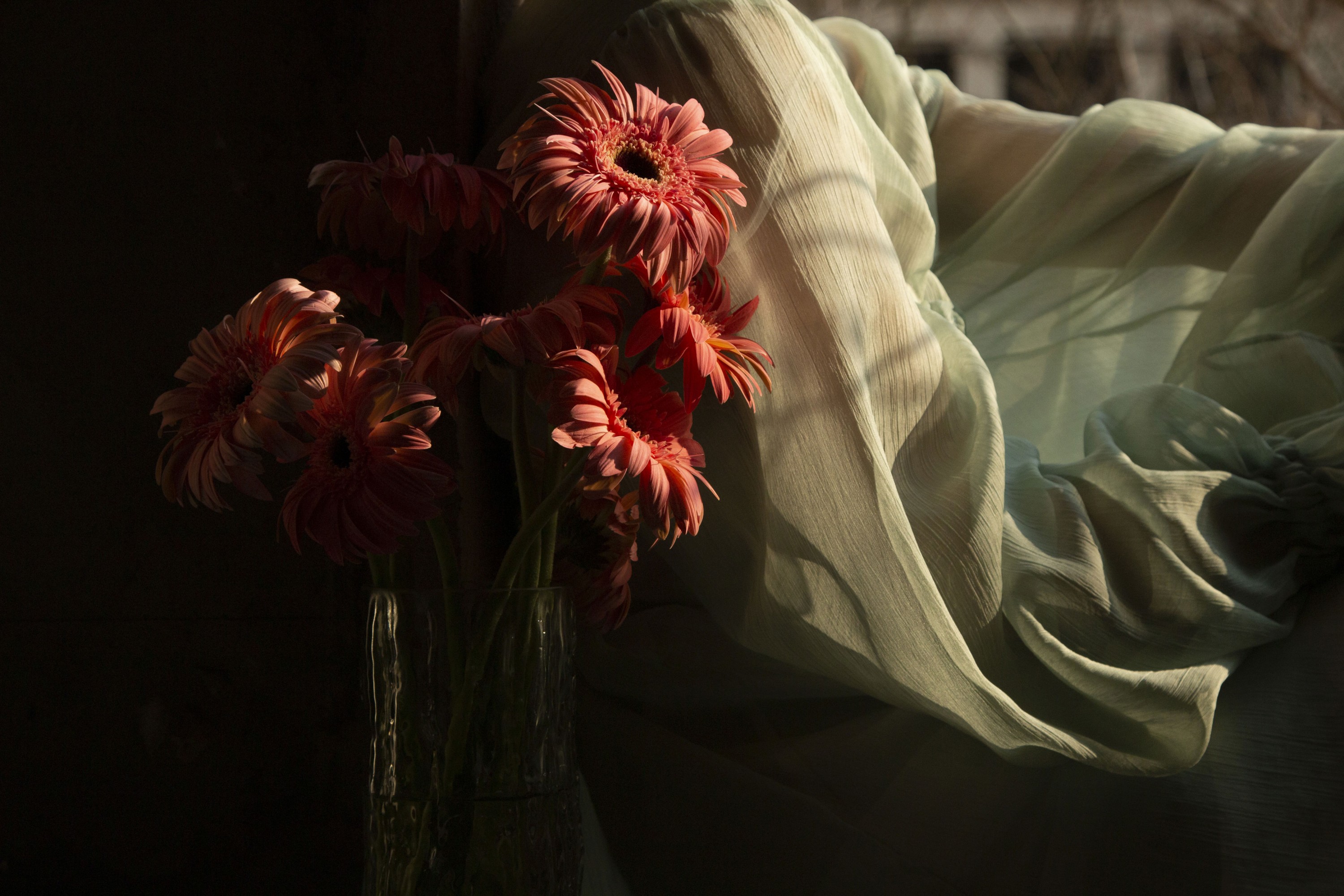 《被误解是表达者的宿命》[17P] 插图4