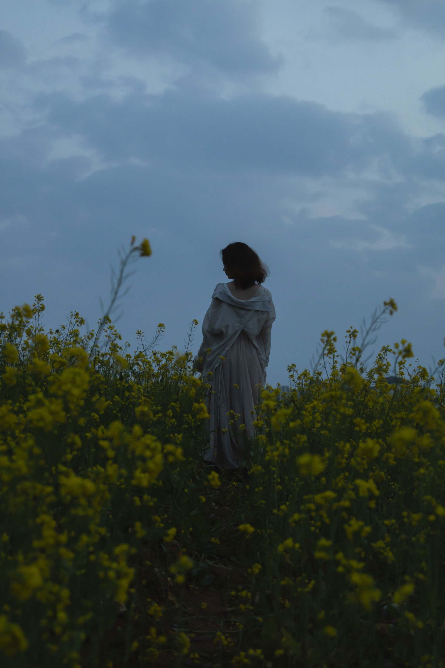 ID12875暗夜-妍画集