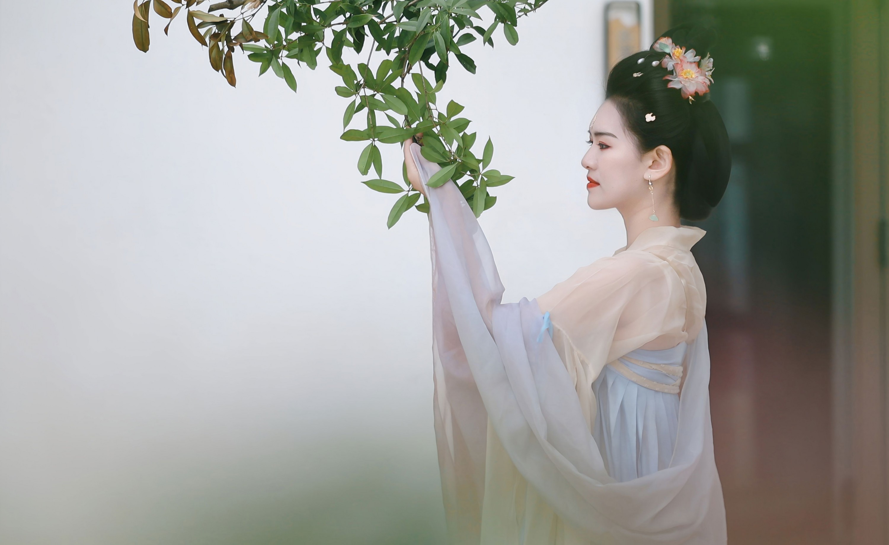 ID12878翩若惊鸿-妍画集