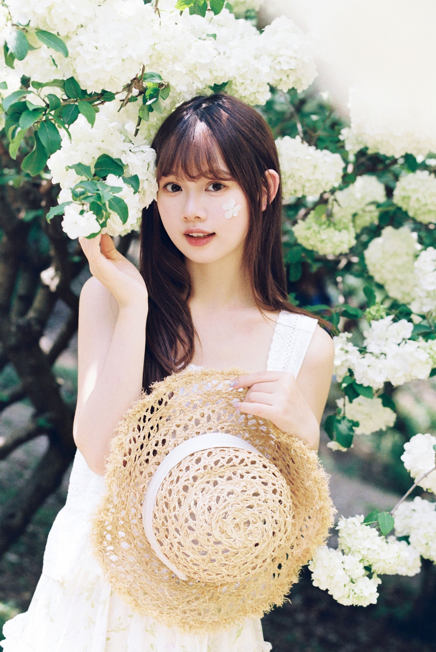 我好圆啊 - 《木绣球的夏天》[18P] 插图5