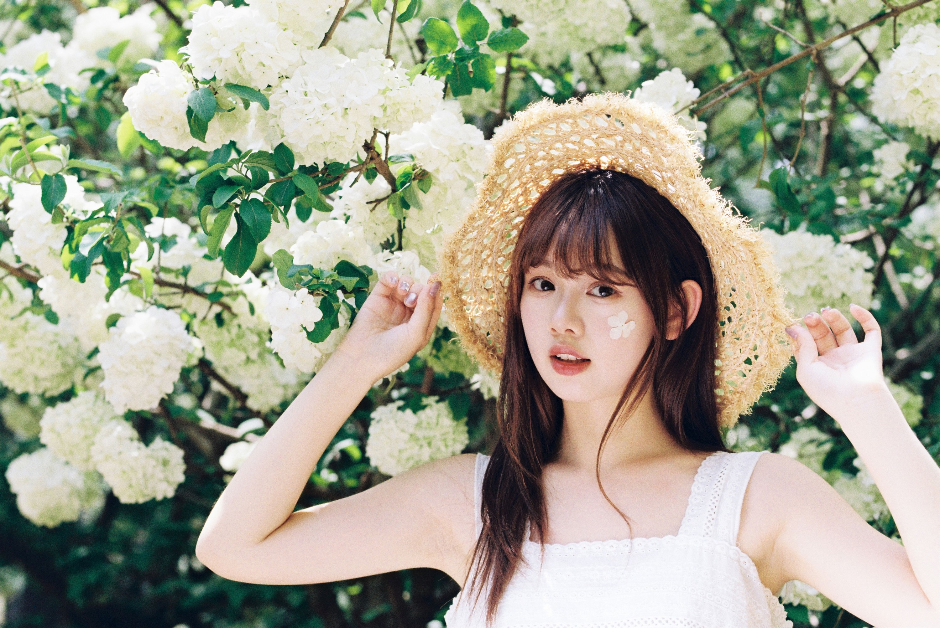 我好圆啊 - 《木绣球的夏天》[18P] 插图2