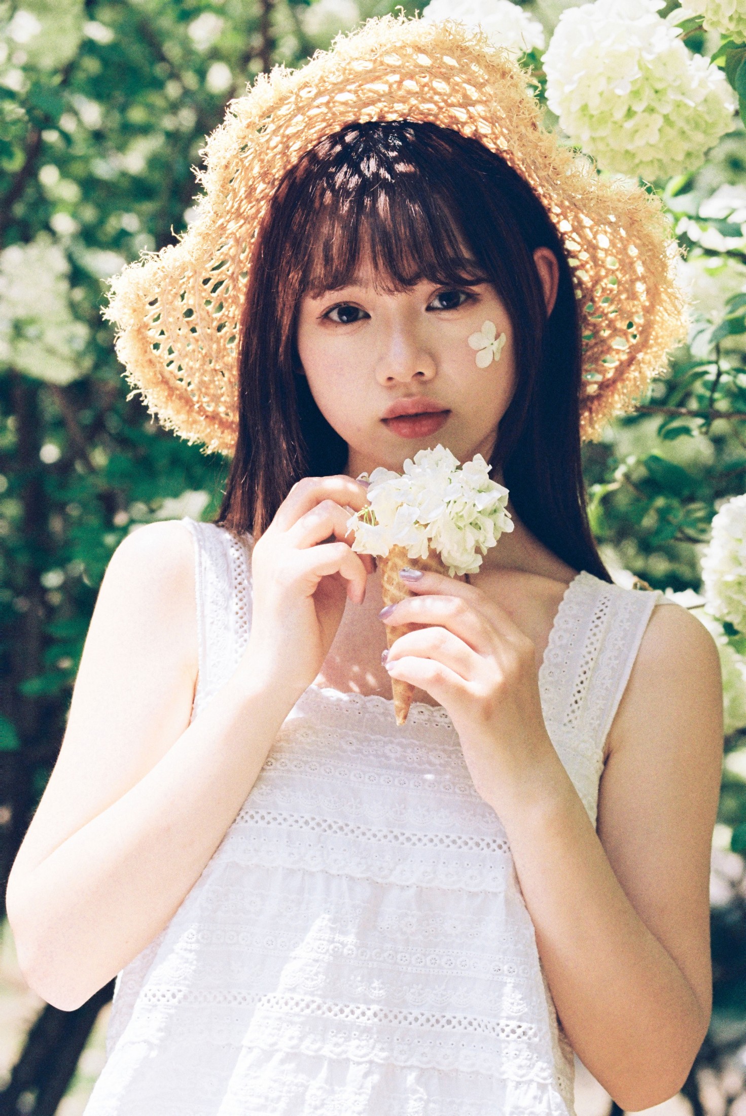 我好圆啊 - 《木绣球的夏天》[18P] 插图3