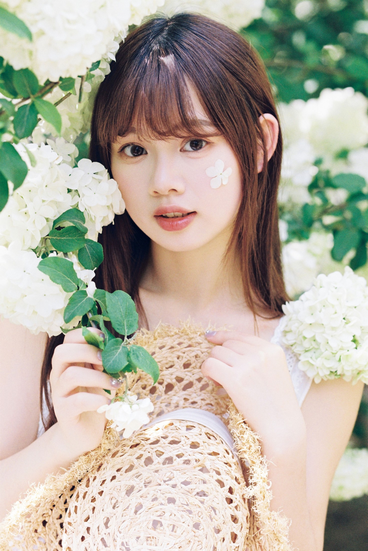 我好圆啊 - 《木绣球的夏天》[18P] 插图4