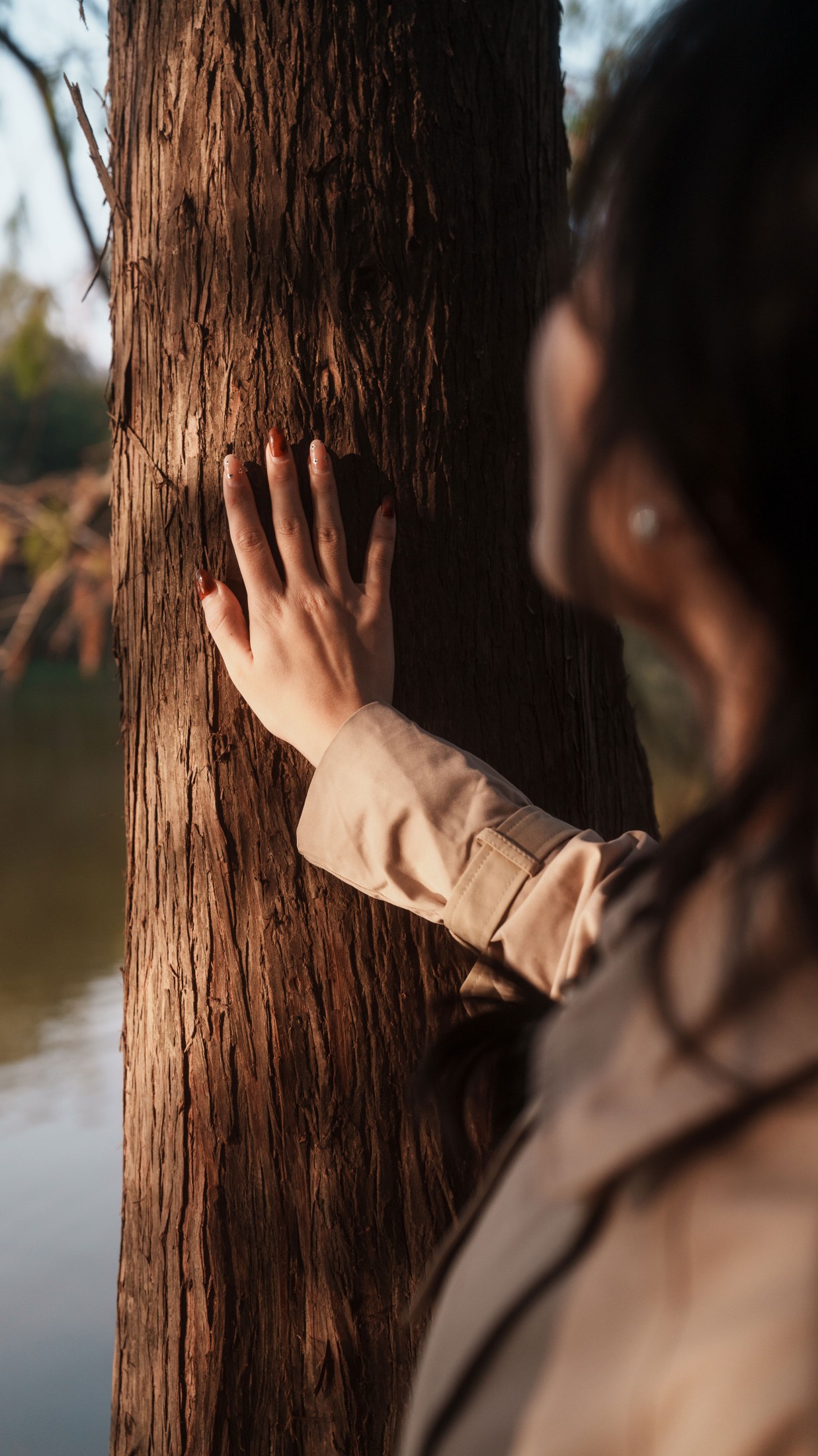 《秋意》[43P] 插图3