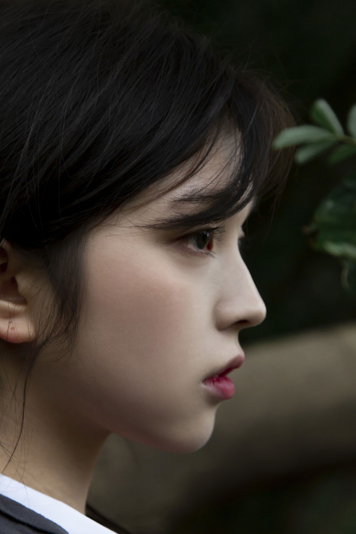 《潮湿的绿意 交错在我眸中》[18P] 插图2