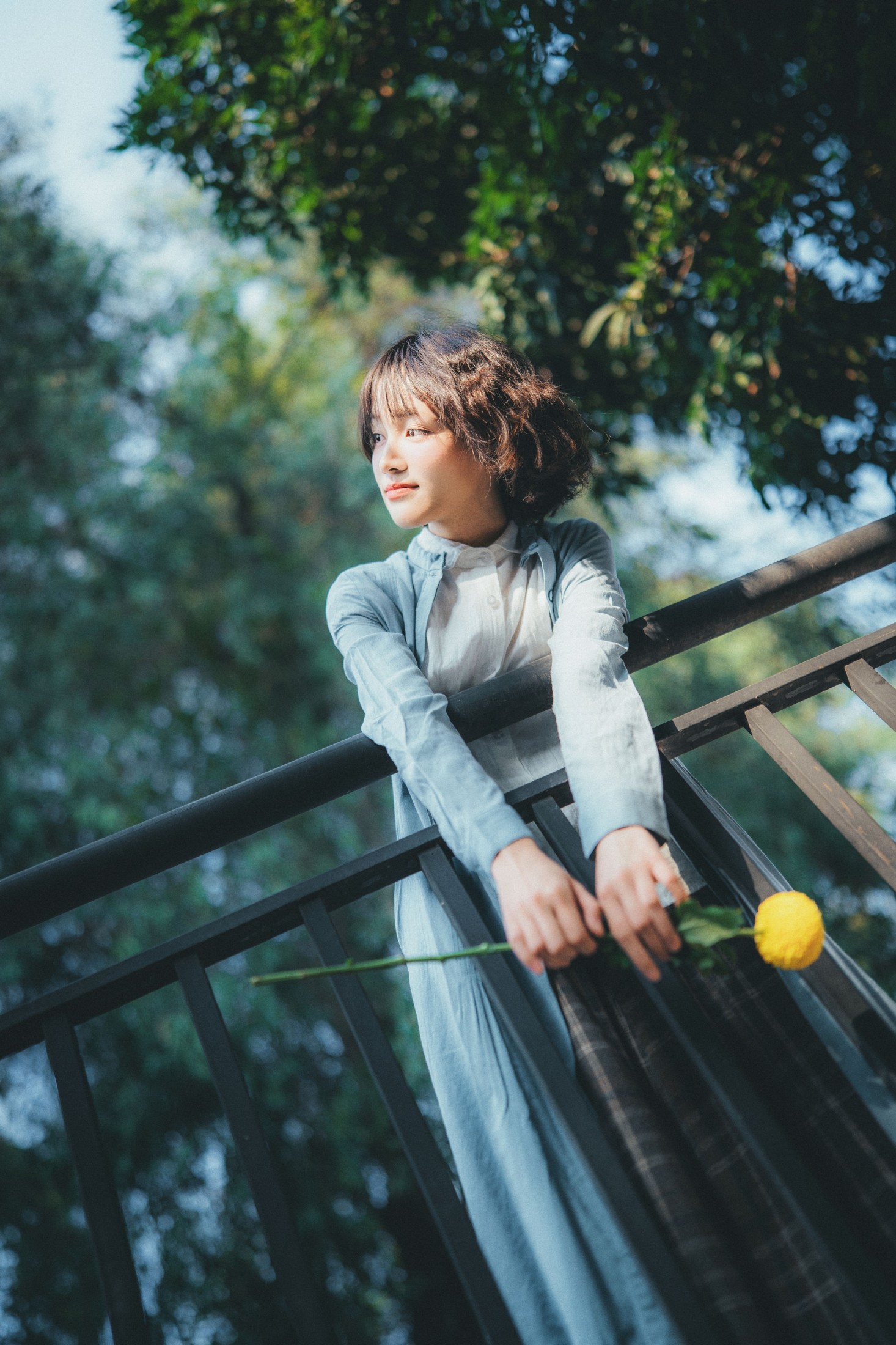 ID12893南方的冬天-妍画集