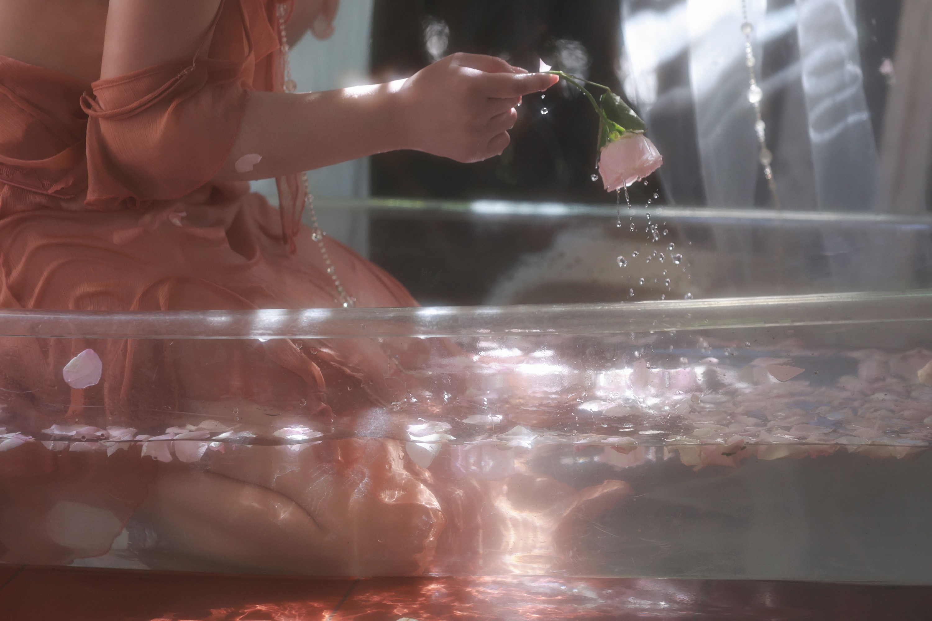 《粉玫》[11P] 插图4