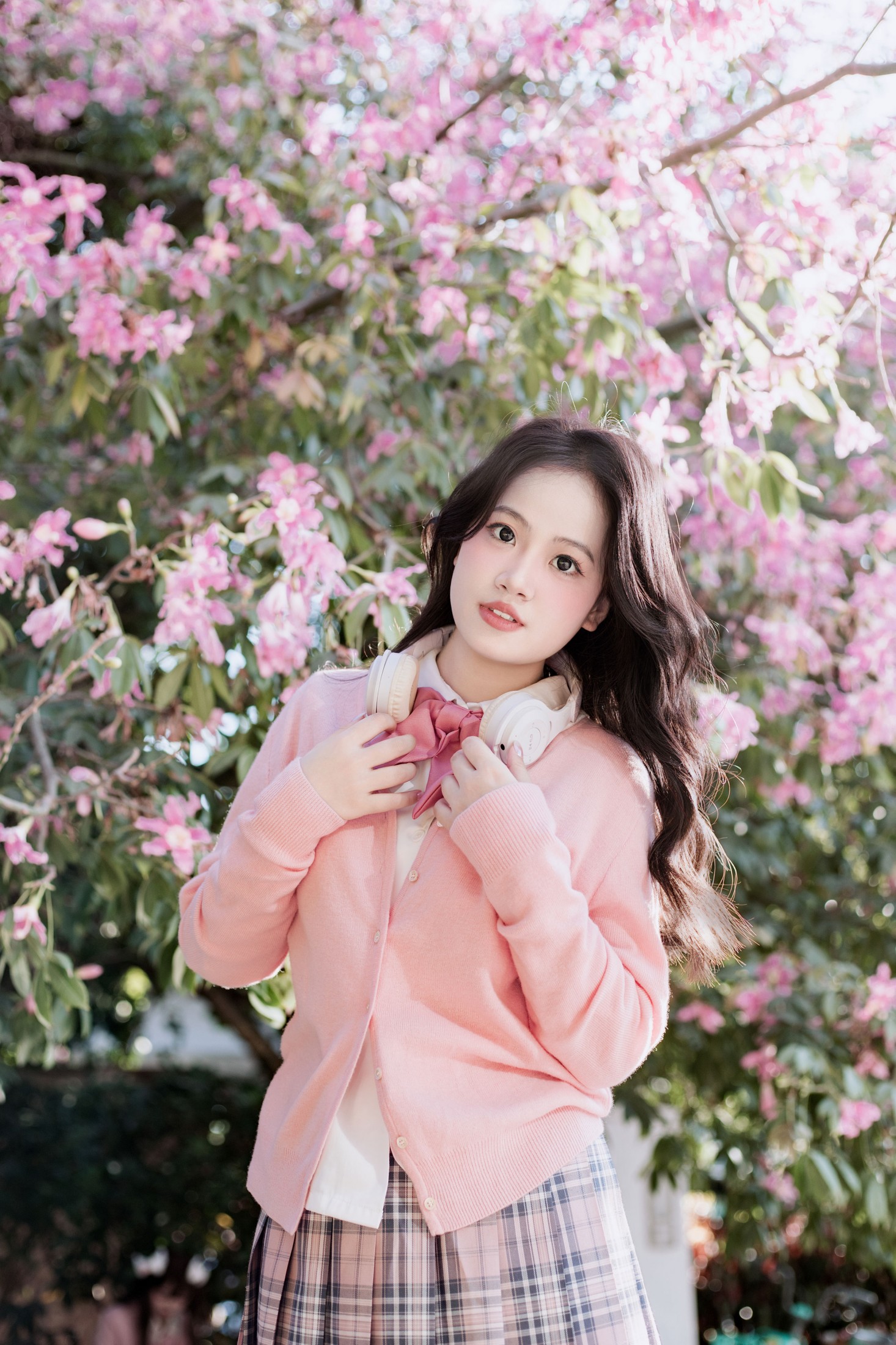 《异木棉》[10P] 插图2