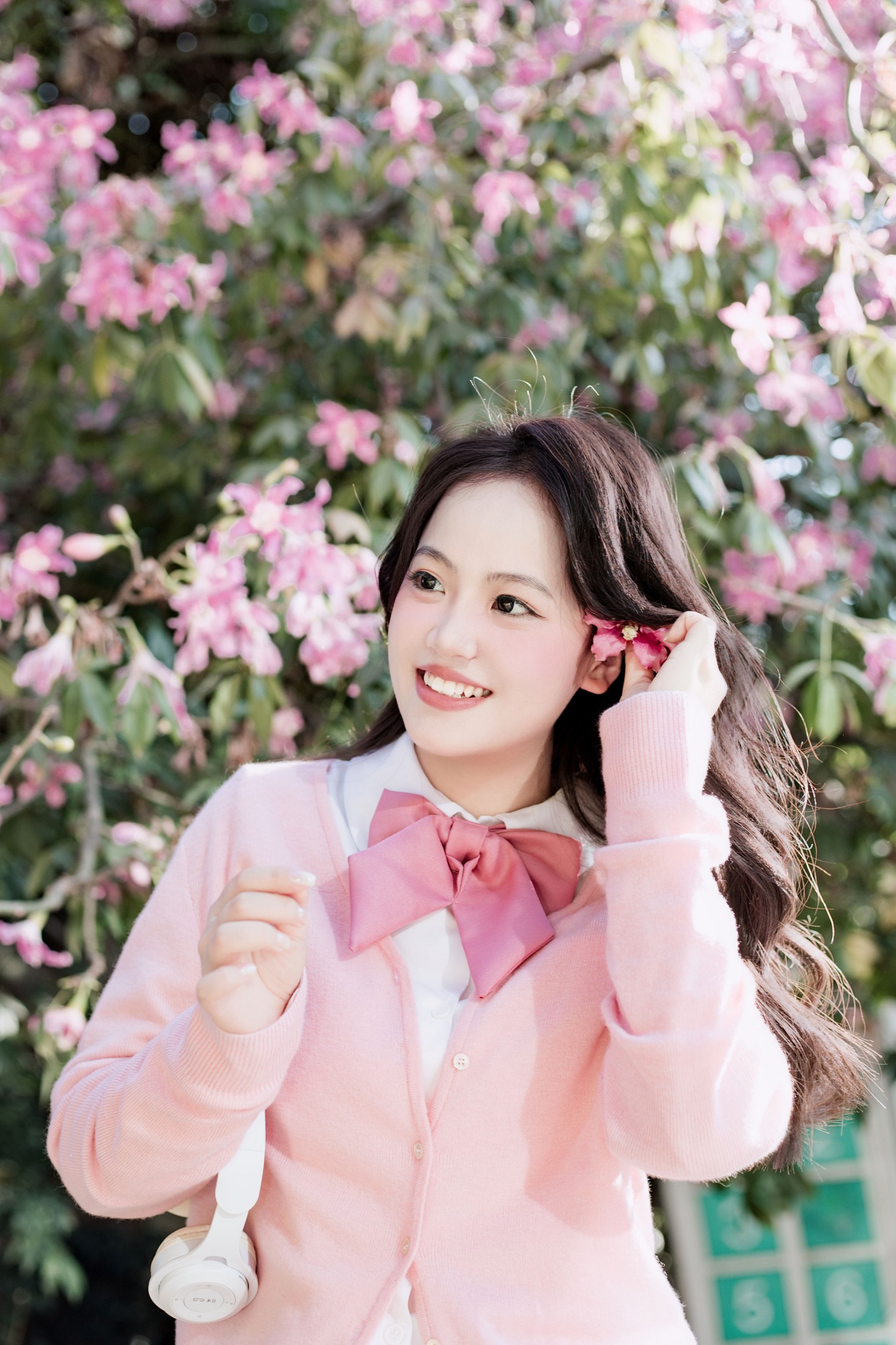 《异木棉》[10P] 插图3