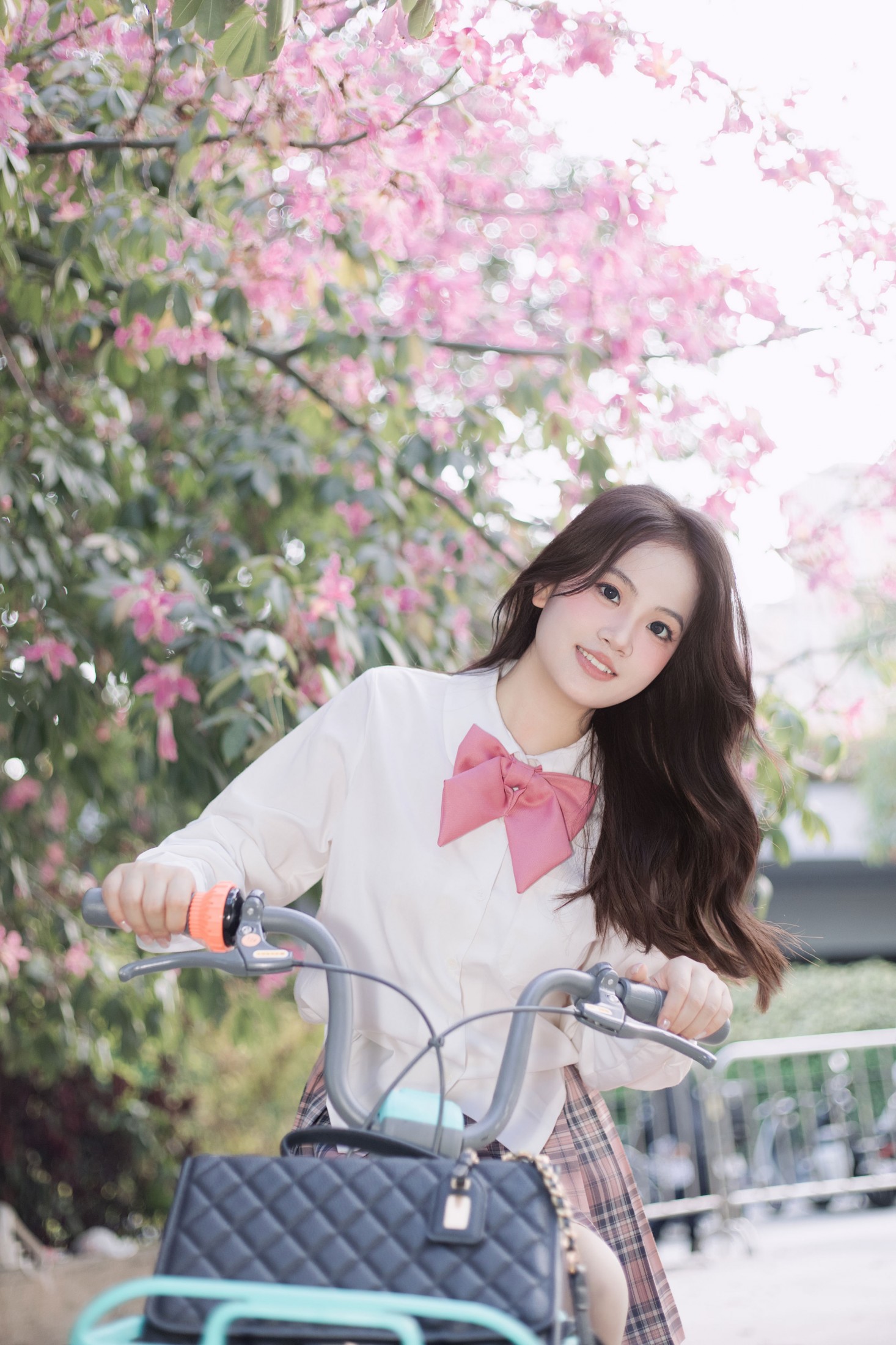 《异木棉》[10P] 插图5