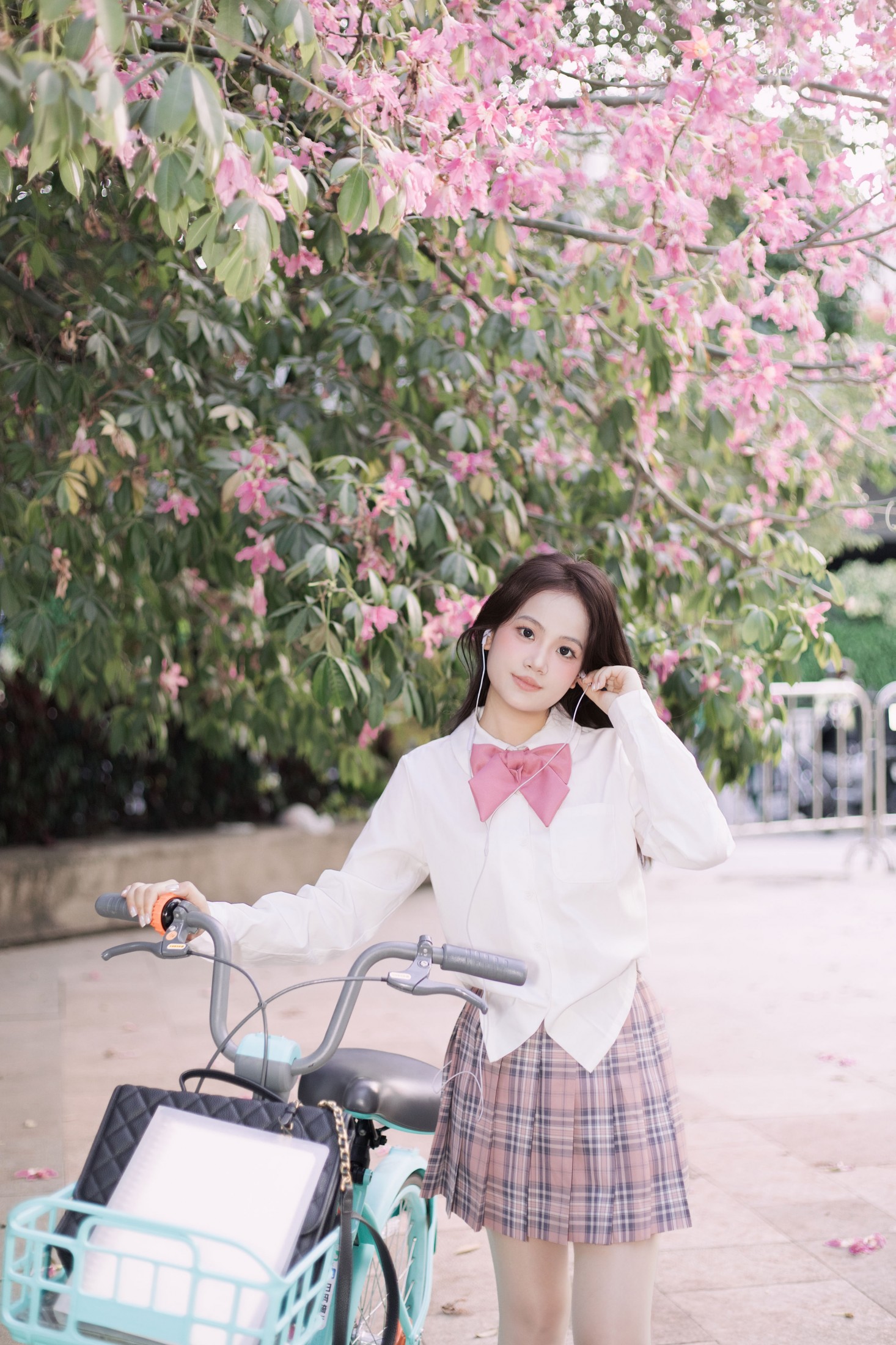 ID12909异木棉-妍画集