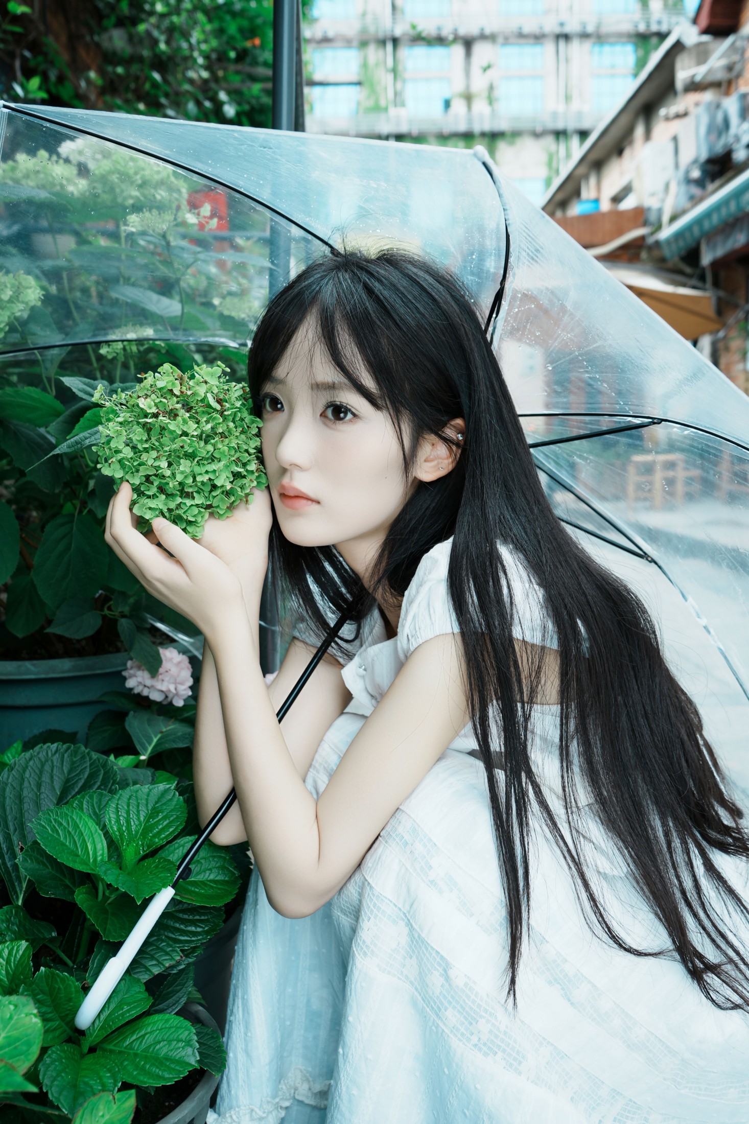 ID12987夏天的颜色-妍画集