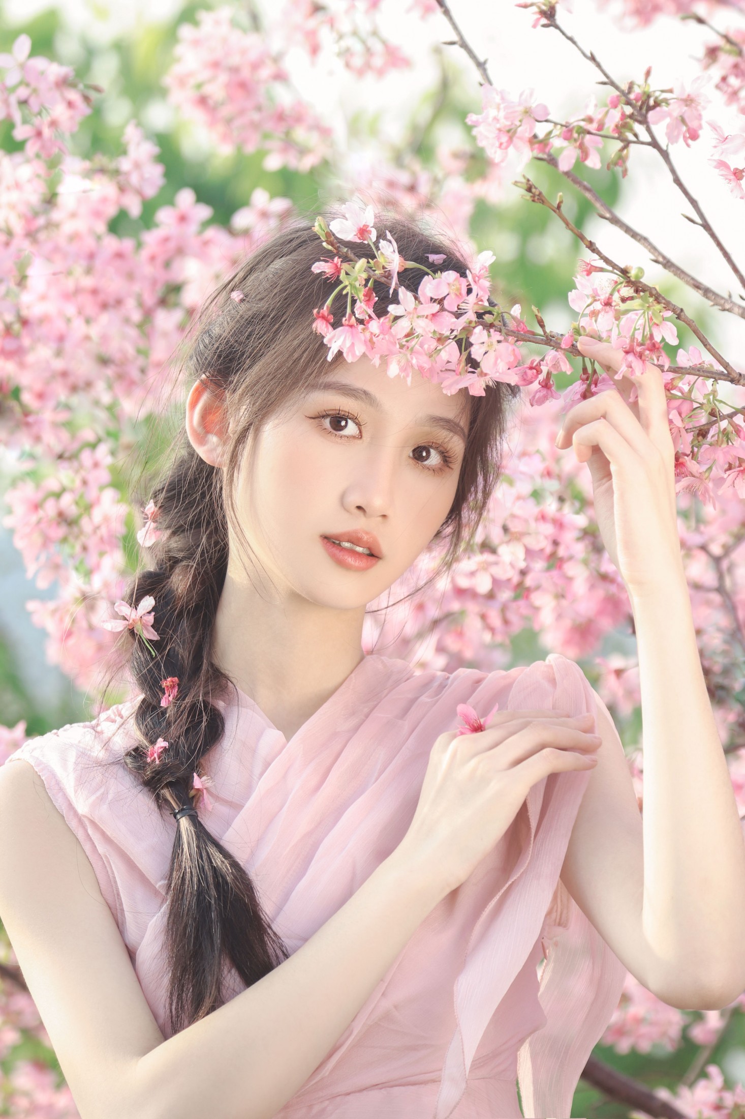 ID12970樱花树下 站谁都美-妍画集