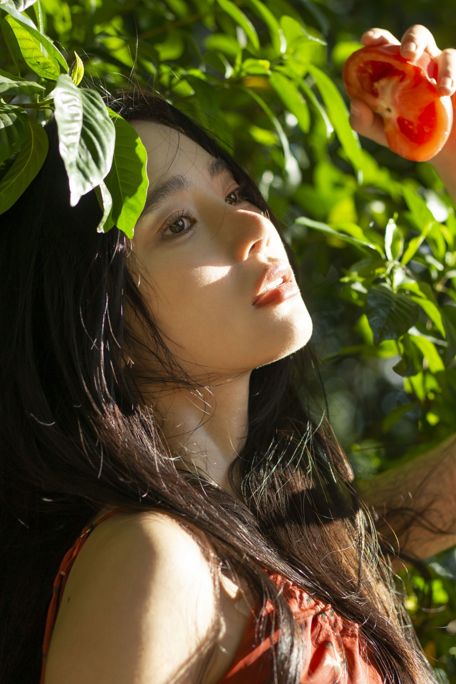 ID12964西红柿味的夏天-妍画集